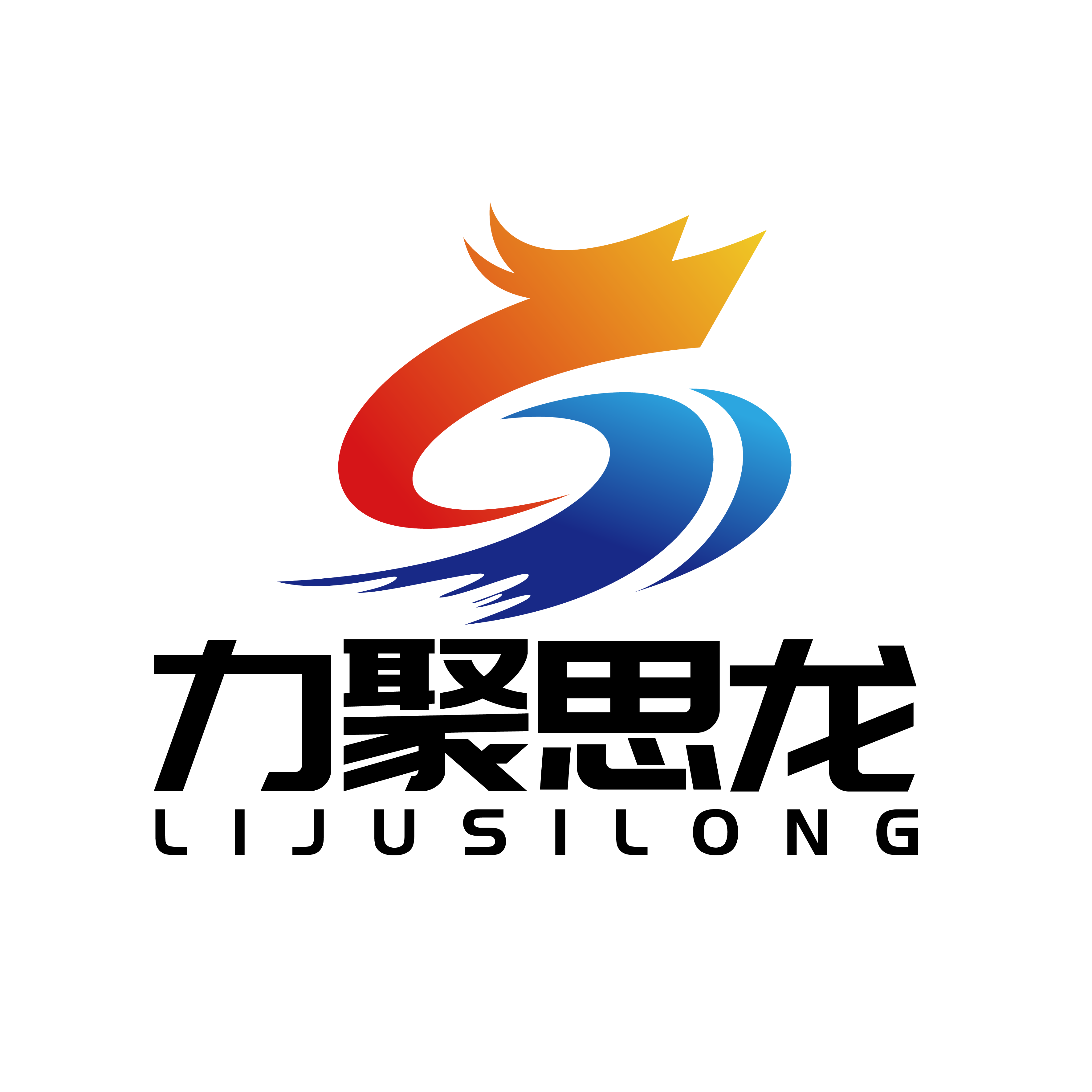 力聚思龙（山东）电子信息技术有限公司